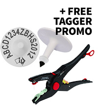 Free tagger promo