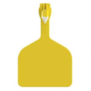 Z Tags Feedlot Tag