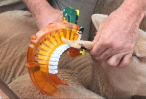 TagFaster Applicator