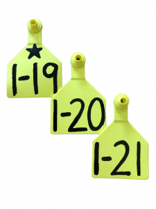 Z Tags with No-Fade Ink Marker