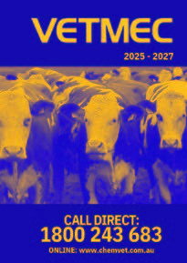 chemvet newsletter summer 2024