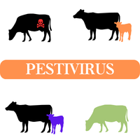 Pestivirus Article Thumbnail